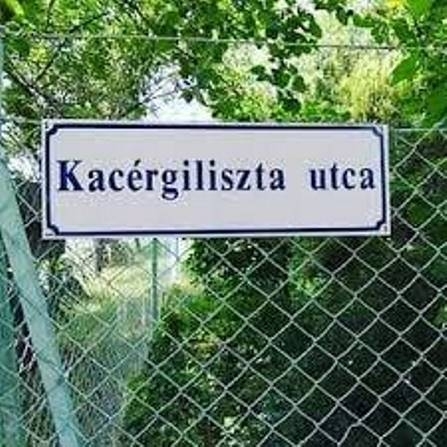 Érdekes utcanév