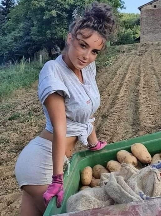 Idénymunkások kerestetnek