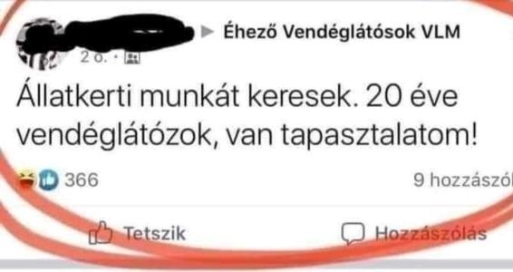 Napi álláskereső