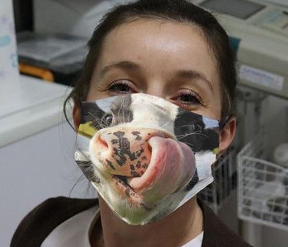 Ha szeretnéd, hogy megbámuljanak az Aldiban