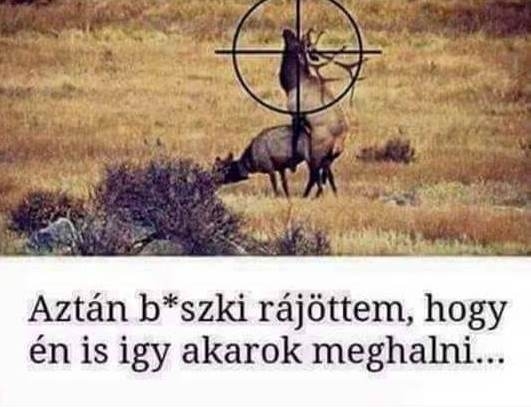 Először nem akartam lőni