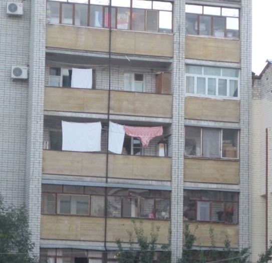 Azt vajon milyen vadállatra lehet felhúzni?