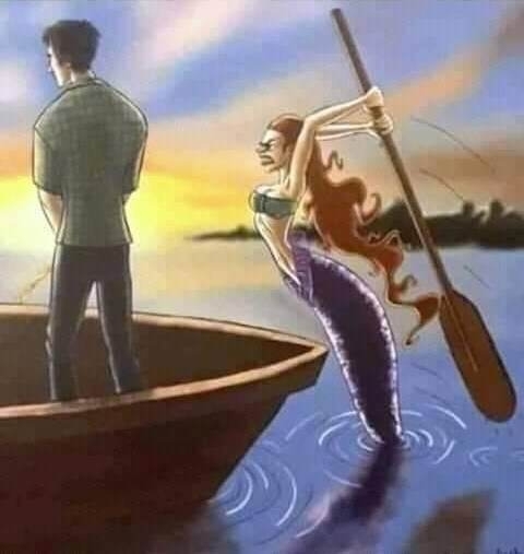 A nappalim nem toi-toi WC, te köcsög!