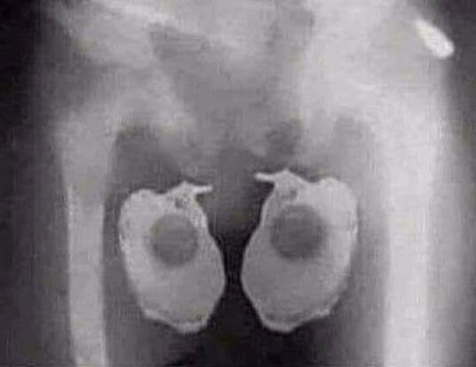 A hőhullám első áldozata