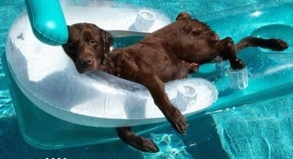 Hogy mit csinálok ma?