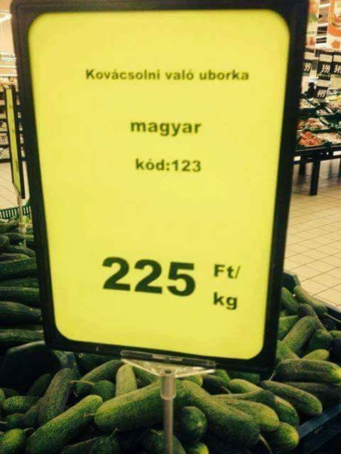 Nyakunkon az uborkaszezon