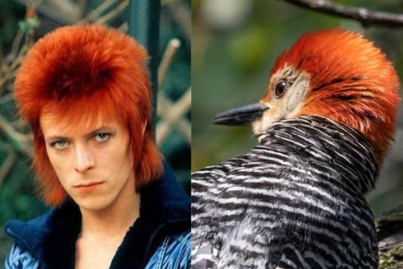 Ikertornyok rovatunkat látjátok