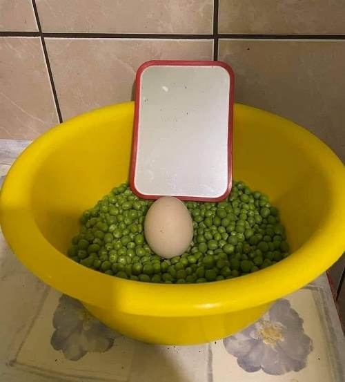 Zöldborsófőzelék tükörtojással