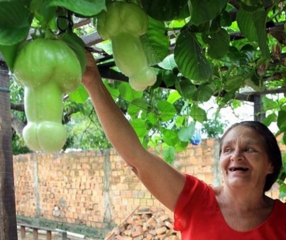 Igazán f@sza lett az idei termés