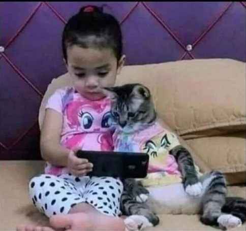 Mikor veszel a gyereknek egy macskát, hogy kevesebbet tabletezzen...