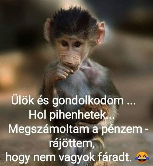 A járdaszigetek még szóba jöhet 🙂