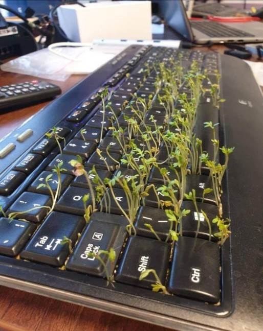 Hősünk 2 hét szabin volt, és ma érkezett vissza