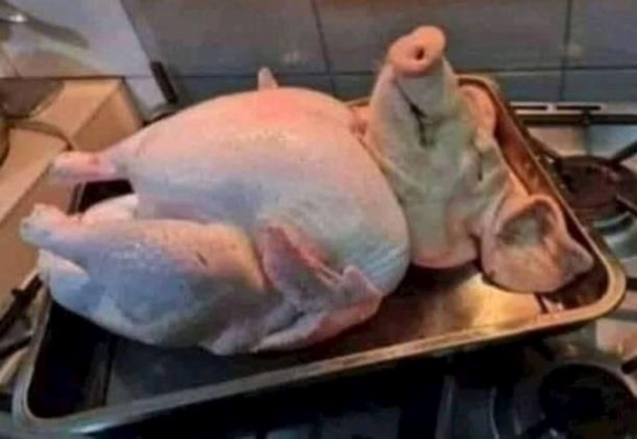 Kis költségvetésű sült malac