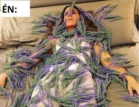 Úgy hallottam, hogy a levelendula segít levezetni a stresszt