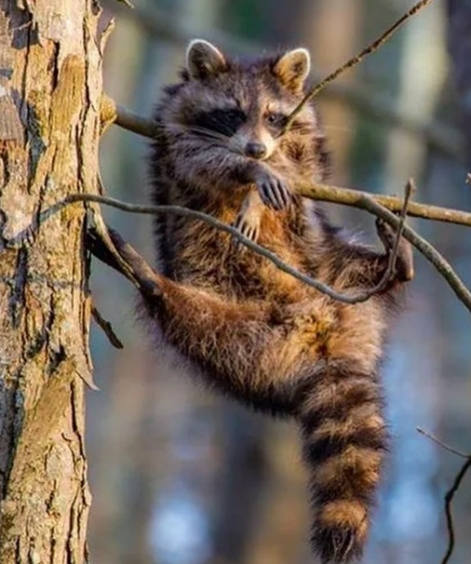 Mikor minden szar, de már megtanultál együttélni a helyzettel
