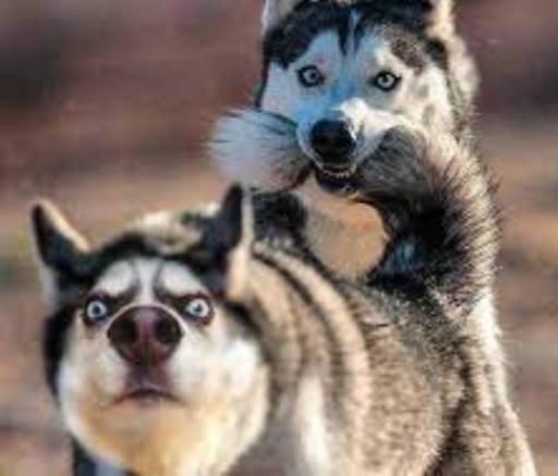 Arcod, amikor a csaj fogazni kezd!