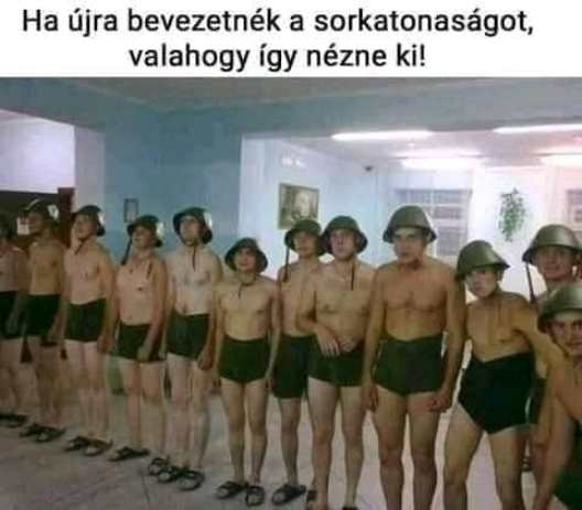 A haza megmentői 🙂