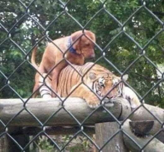 Nem mered megszólítani, mert azt hiszed, hogy esélyed sincs nála?