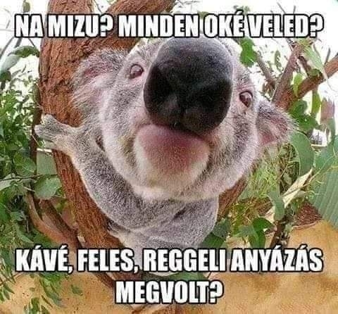 Indul egy újabb hét