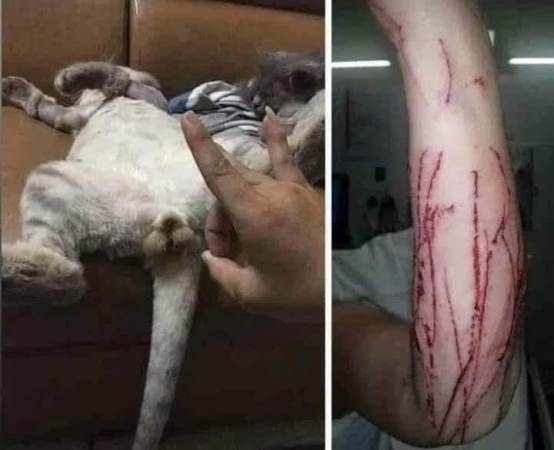 Minden tettnek következménye van