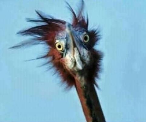 Jó reggelt, kellemes ébredést