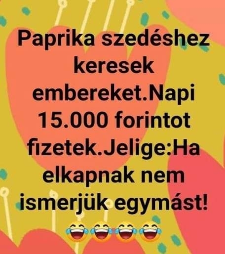 Befutott egy állásajánlat