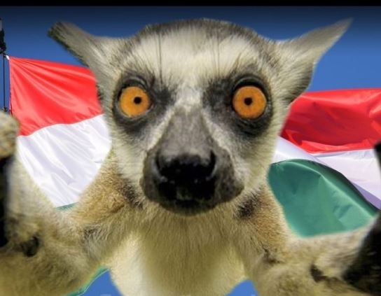 Nem akarok pánikor kelteni, de ugye tudjátok mi nem lesz holnap?!