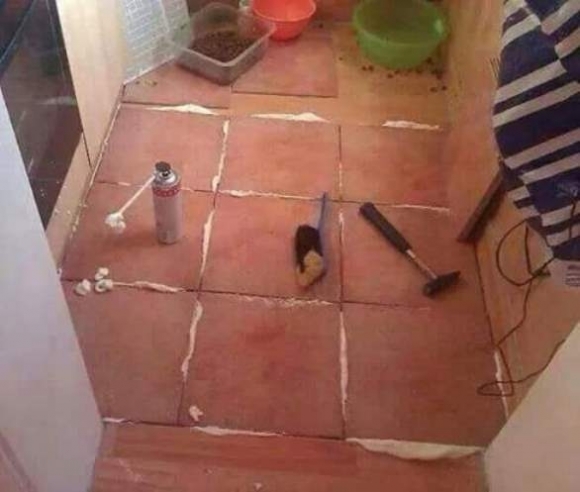 Gőzerővel zajlanak a felújítások