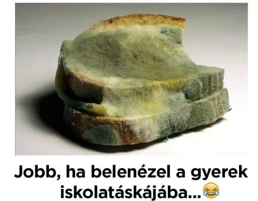 Nyakunkon az iskolakezdés