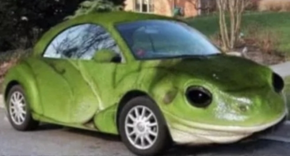 Van a bogárhátú és van a béka