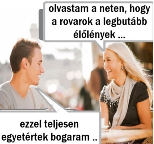 Szőke csaj beszélget a barátjával