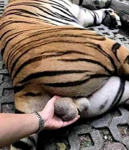 Amikor keresed magadnak a bajt