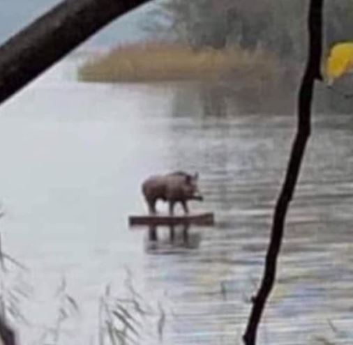 Amikor fogalmad sincs, hogy merre sodor az élet, de igazából már le is szarod