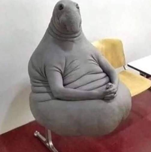 Amikor megkopasztod a zacsit és a csaj lemondja az estét