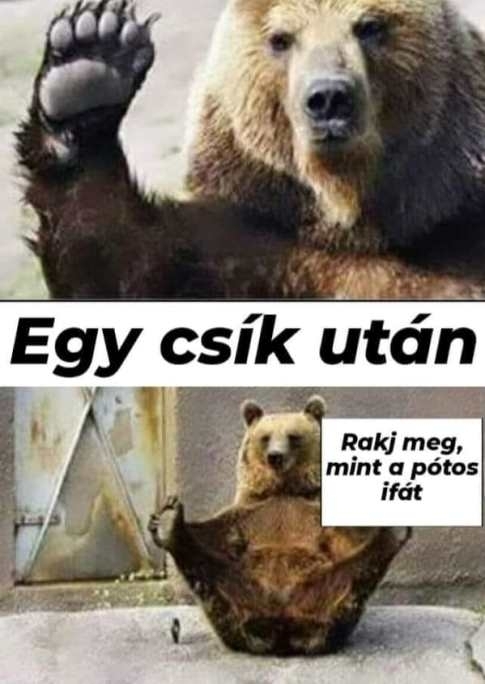 Nem az a fajta lány vagyok