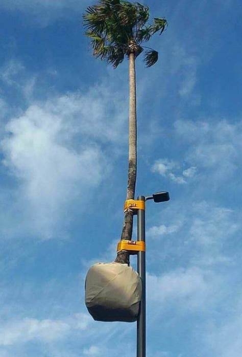 Ezt biztos megcsodálják majd a turisták