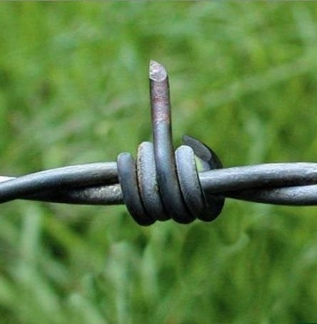 Egy újabb hétfőhöz érkeztünk