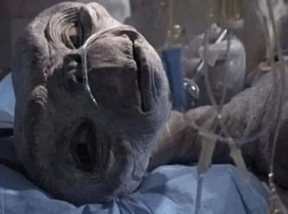 Másnaposság, amikor már elmúltál 40