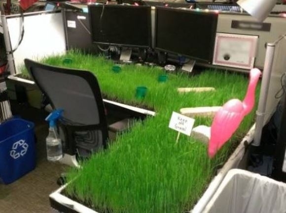 Elment 2 hét szabadságra