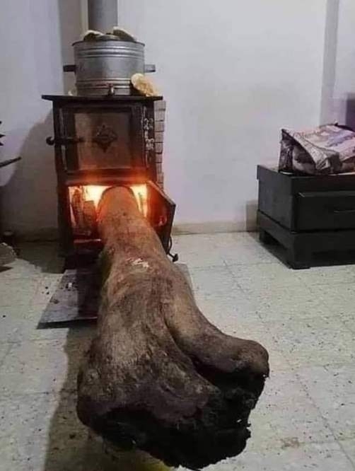 A lusta ember mindig megkeresi a legegyszerűbb megoldást