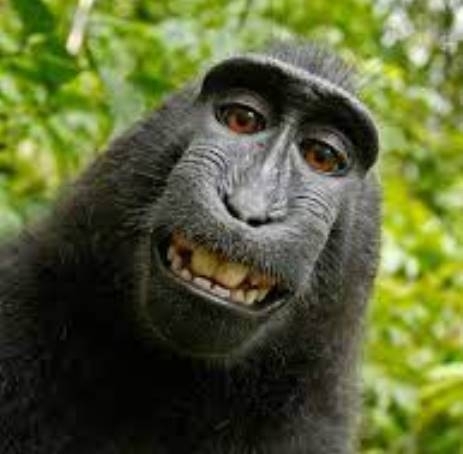 Nem vagyunk egyformák