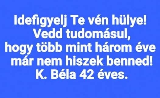 Idézet egy Télapónak írt levélből