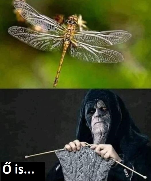 Vasárnapi zsibbasztó