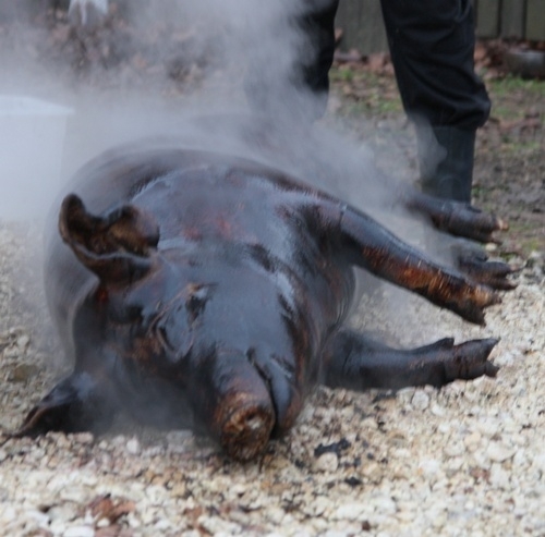 Disznóölés szavakban