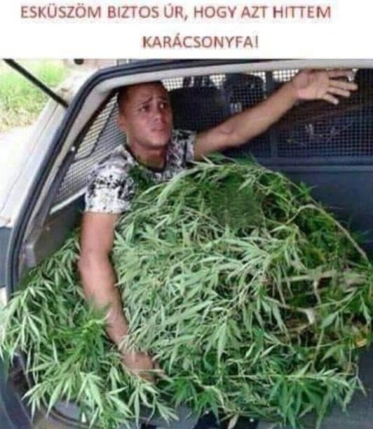 Decemberben már jó kifogás lenne