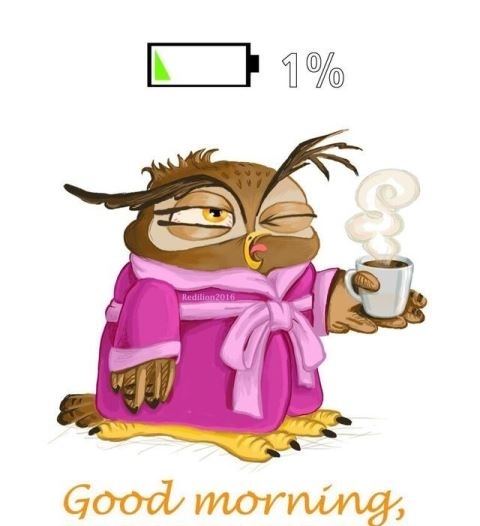 Álmosan indul a reggel