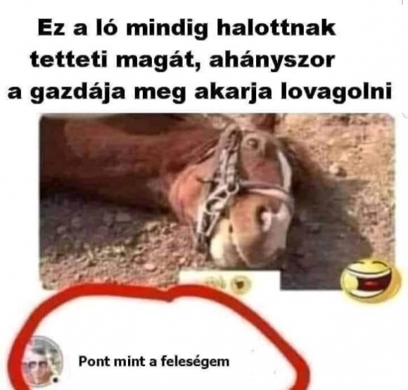Mára is jut egy top komment