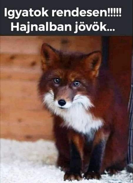 Ez volt a tipp szilveszter estére