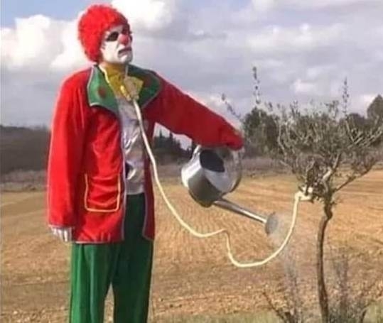 Amikor öngyilkos akarsz lenni, de annyira nem sürgős