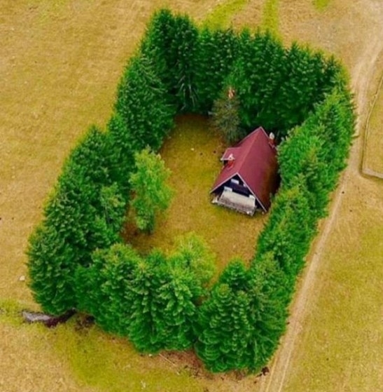 Tele van a tököm az egész világgal